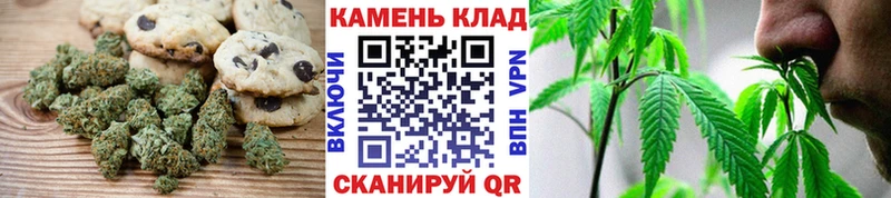 блэк спрут tor  Великий Новгород  Canna-Cookies конопля 