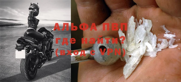 ПСИЛОЦИБИНОВЫЕ ГРИБЫ Коряжма