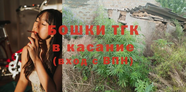стафф Калининец
