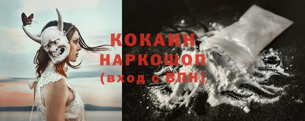 дмт Краснослободск