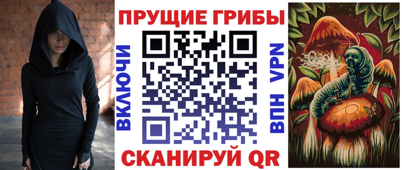 закладка  Великий Новгород  Галлюциногенные грибы прущие грибы 
