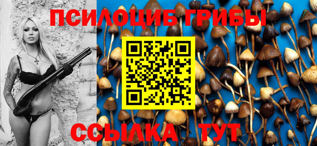 Псилоцибиновые грибы ЛСД  Псилоцибиновые грибы Psilocybe  Великий Новгород 