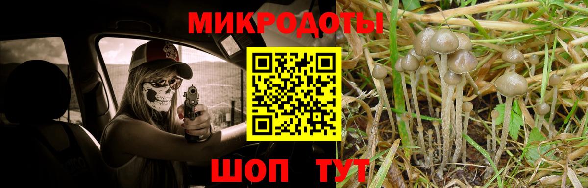Псилоцибиновые грибы мицелий Великий Новгород